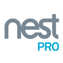 nest nest